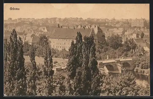AK Grimma, Stadtansicht aus der Vogelschau