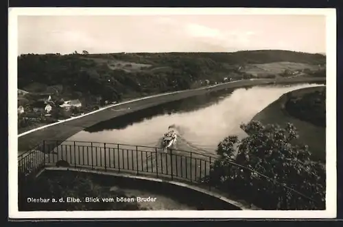 AK Diesbar a. d. Elbe, Blick vom Bösen Bruder