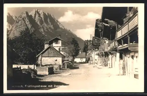 AK Garmisch, Frühlingsstrasse mit der Zugspitze