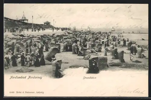 AK Norderney a. d. Nordsee, Strandleben