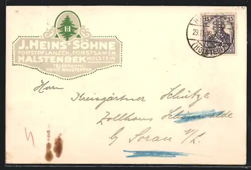 AK Halstenbek in Holstein, Forstpflanzen und Samen J. Heins Söhne