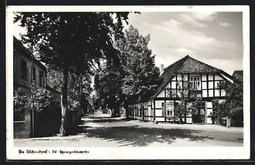AK Oldendorf i. W., Strasse mit altem Fachwerkhaus