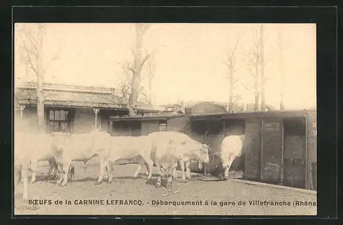 AK Villefranche, Boeufs de la Carnine Lefrancq, Débarquement à la gare