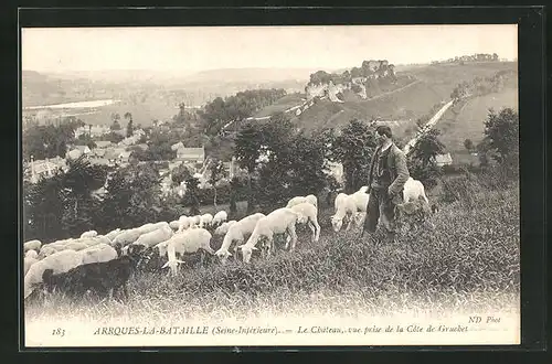 AK Arques-la-Bataille, Le Chateau, vue prise de la Cote de Gruchet, Schäfer mit Schafherde