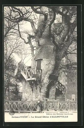 AK Allouville-Bellefosse, Le grand Chene, Riesiger Baum mit Kapellen