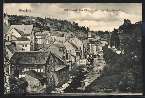 AK Montjoie, Blick auf die Stadt von der Sonntagsley