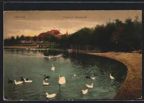 AK Krefeld, Partie im Stadtwald