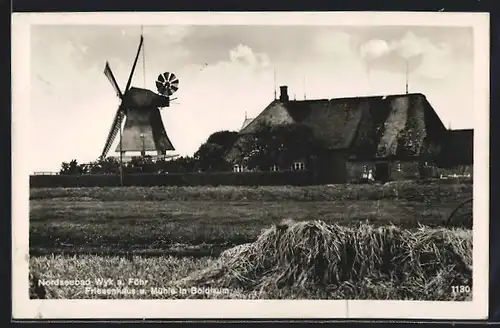 AK Wyk a. Föhr, Friesenhaus und Windmühle in Boldixum