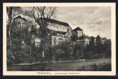 AK Tübingen, Neckarpartie und Schloss Hohentübingen