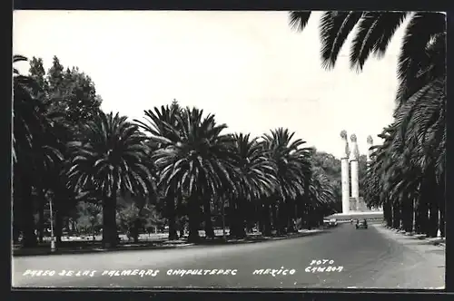 AK Palmeras, Chapultepec, Paseo de Las
