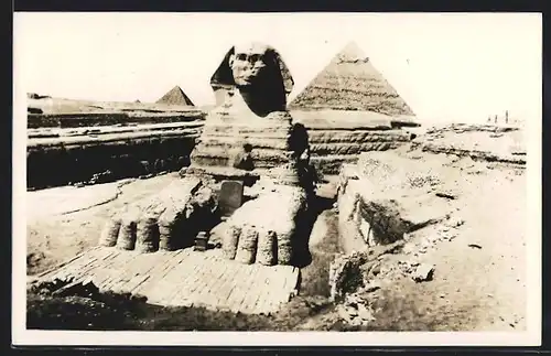 AK Cairo, Sphinx