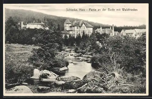 AK Schierke im Harz, Partie an der Bode mit Waldfrieden