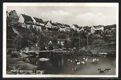 AK Wildberg /Schwarzwald, Uferpartie mit Brücke, Südseite