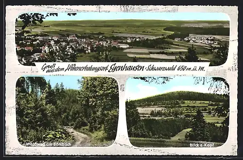 AK Egenhausen /Schwarzwald, Teilansicht, Waldweg am Bömbach, Blick zum Kapf