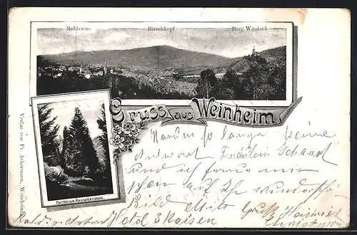 AK Weinheim, Totalansicht mit Burg Windeck, Hirschkopf und Melibocus, Partie a. d. Kastanienwald