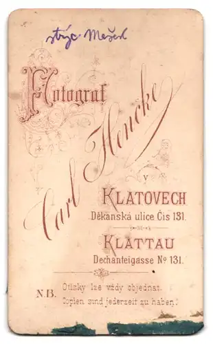 Fotografie Carl Hencke, Klattau, Dechanteigasse 131, Elegant gekleideter Herr mit Vollbart