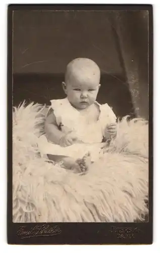 Fotografie Emil Schröter, Jüterbog, Damm, Süsses Kleinkind im Hemd sitzt auf Fell