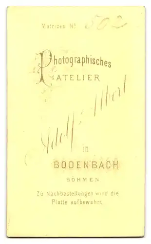 Fotografie Adolf Albert, Bodenbach /Böhmen, Junge Dame mit Hochsteckfrisur