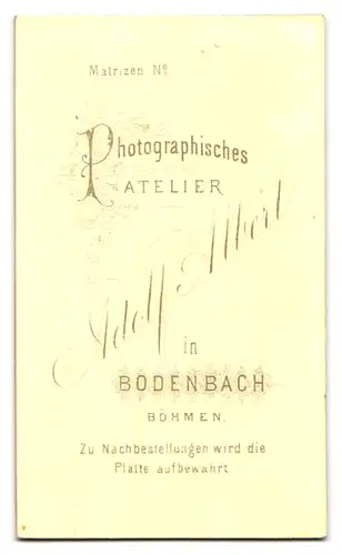 Fotografie Adolf Albert, Bodenbach /Böhmen, Junger Herr im karierten Anzug mit Krawatte