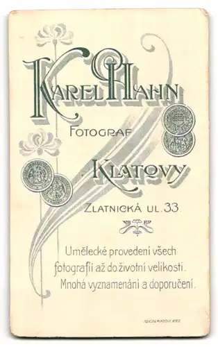 Fotografie Karel Hahn, Klatovy, Zlatnická u. 33, Älterer Herr im Anzug mit Vollbart