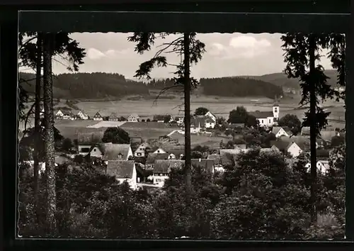 AK Donaueschingen-Aufen, Gesamtansicht mit Wald und Flur