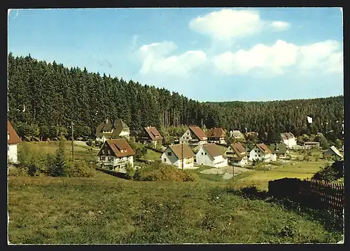 AK Friedenweiler /Hochschwarzwald, Ortsansicht