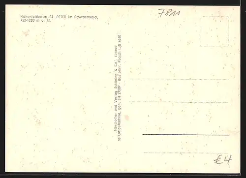 AK St. Peter /Schwarzwald, Ortsansicht bei Tag