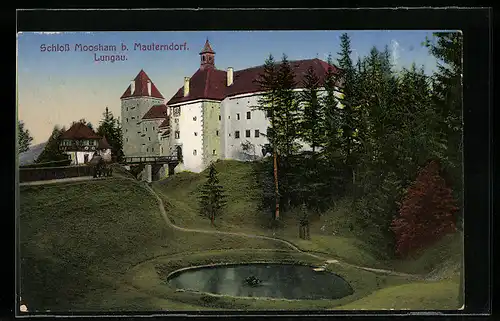 AK Mauterndorf /Lungau, Schloss Moosham