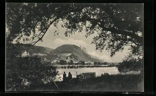 AK Hallein, Ortsansicht mit Bergpanorama