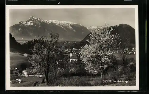 AK Gnigl, Ortsansicht im Frühling