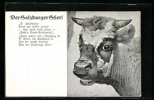 Künstler-AK Salzburg, Der Salzburger Stier