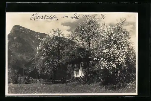 AK Oberzenau, Ortspartie mit Wiese und Bäumen