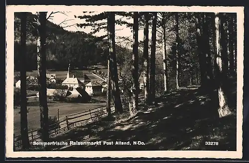 AK Alland-Raisenmarkt, Ortspartie mit Kirche am Wald