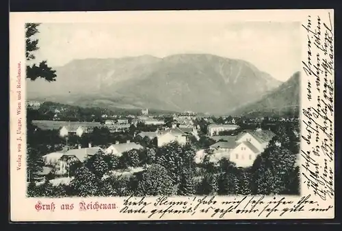 AK Reichenau, Teilansicht mit Bergen