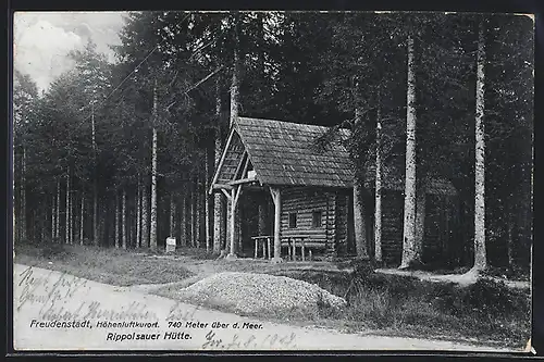 AK Freudenstadt, Rippolsauer Hütte