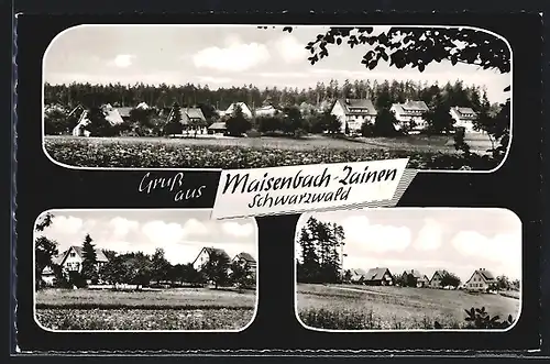 Passepartout-AK Maisenbach-Zainen /Schwarzw., Ortspanorama, Ortspartien