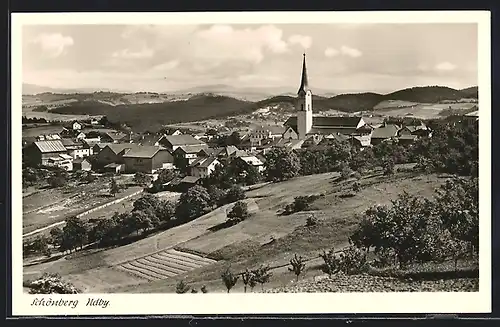 AK Schönberg /Ndb., Gesamtansicht mit Feldern und Fernblick