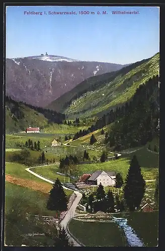 AK Feldberg i. Schwarzwald, Ortsansicht mit Wilhelmertal