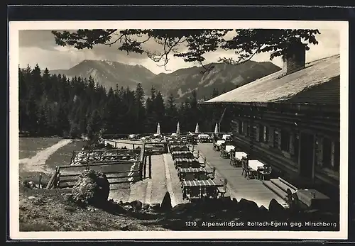 AK Rottach-Egern, Gasthaus am Alpenwildpark gegen Hirschberg