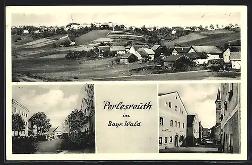 AK Perlesreuth /Bay., Strassenpartien, Gesamtansicht mit Feldern