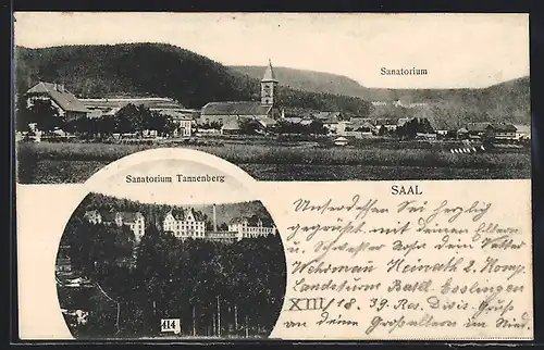 AK Saal, Sanatorium Tannenberg, Ortspanorama