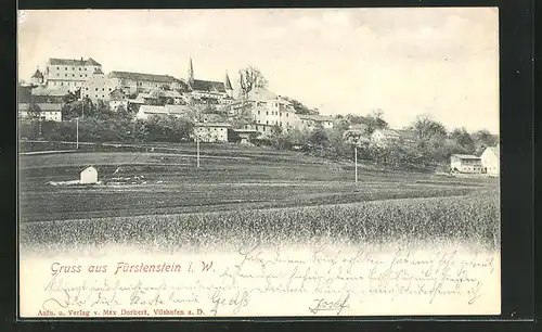 AK Fürstenstein i. W., Teilansicht der Ortschaft