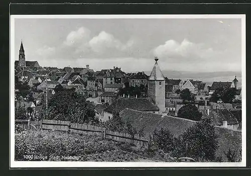 AK Nabburg, Panoramablick auf den Ort