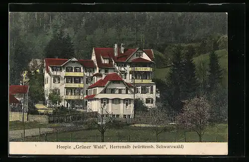 AK Herrenalb /Württemb. Schwarzwald, Hospiz Grüner Wald