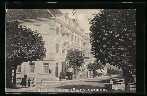 AK Triberg, Hotel Löwen-National, Neujahrsgruss