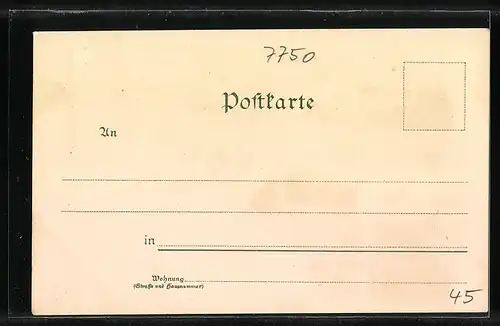 Lithographie Konstanz am Bodensee, Insel-Hotel, Münster, Mainau