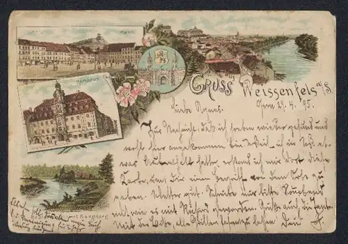 Vorläufer-Lithographie Weissenfels, 1895, Ansicht mit Klemmberg, Markt und Rathhaus