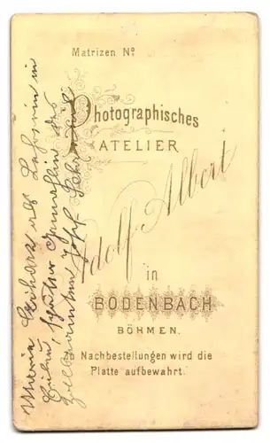 Fotografie Adolf Albert, Bodenbach, Hübsche Frau im eleganten Kleid und mit Buch in der Hand