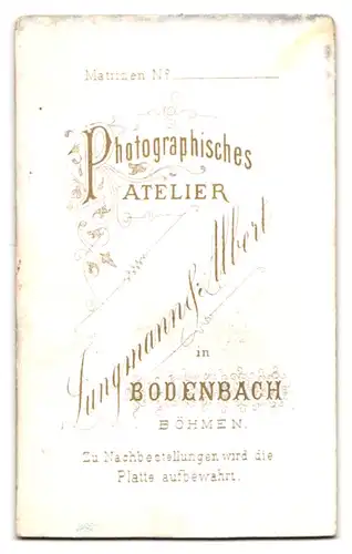 Fotografie Jungmann &Albert, Bodenbach, Junger hübscher Mann mit welligem Haar und Fliege