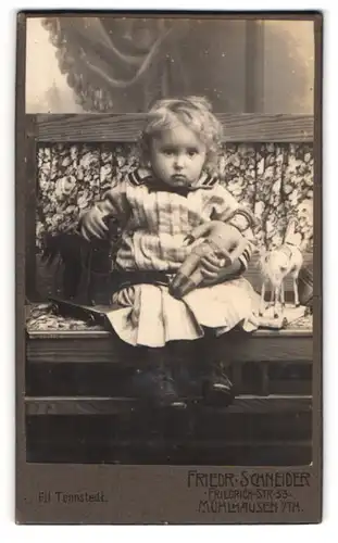 Fotografie Friedr. Schneider, Mühlhausen in Th., niedliches Mädchen mit Steff Soldat im Arm